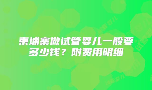 柬埔寨做试管婴儿一般要多少钱？附费用明细