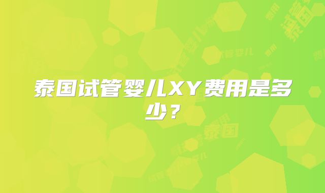 泰国试管婴儿XY费用是多少？