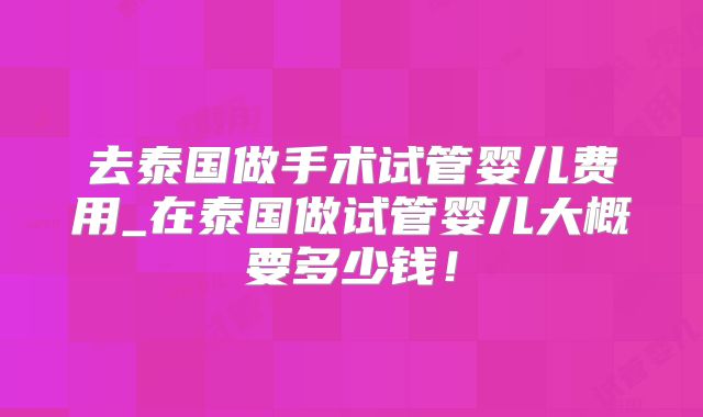去泰国做手术试管婴儿费用_在泰国做试管婴儿大概要多少钱!