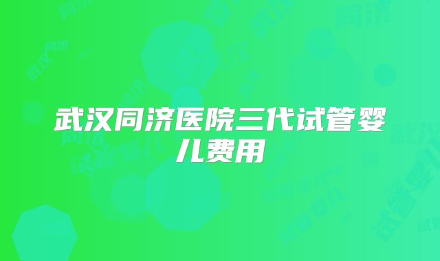 武汉同济医院三代试管婴儿费用