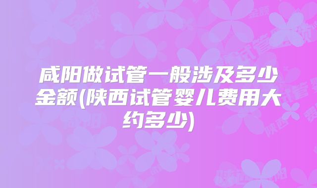 咸阳做试管一般涉及多少金额(陕西试管婴儿费用大约多少)