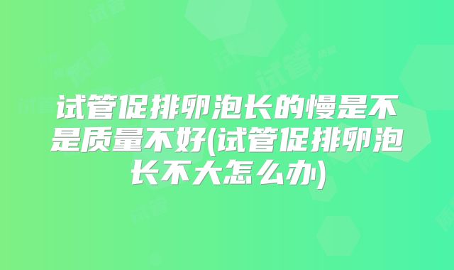 试管促排卵泡长的慢是不是质量不好(试管促排卵泡长不大怎么办)