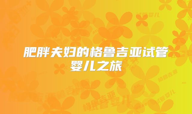 肥胖夫妇的格鲁吉亚试管婴儿之旅