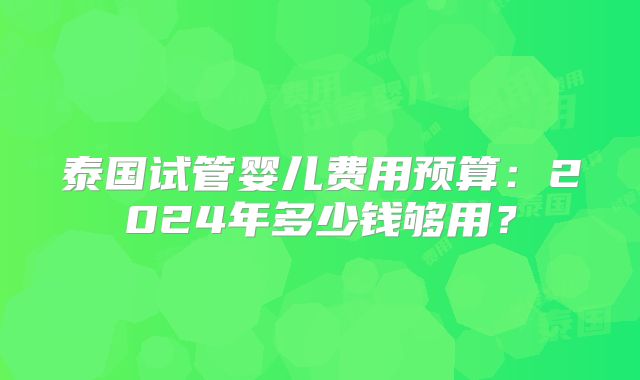 泰国试管婴儿费用预算：2024年多少钱够用？