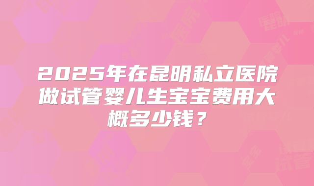 2025年在昆明私立医院做试管婴儿生宝宝费用大概多少钱?