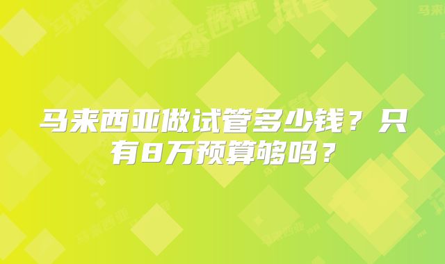 马来西亚做试管多少钱？只有8万预算够吗？