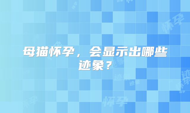 母猫怀孕，会显示出哪些迹象？