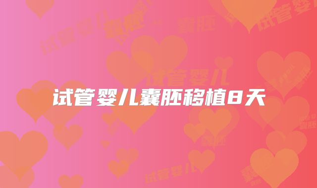 试管婴儿囊胚移植8天