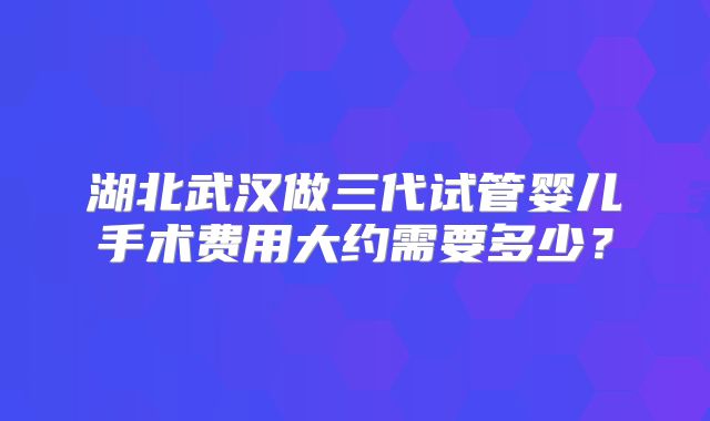 湖北武汉做三代试管婴儿手术费用大约需要多少？