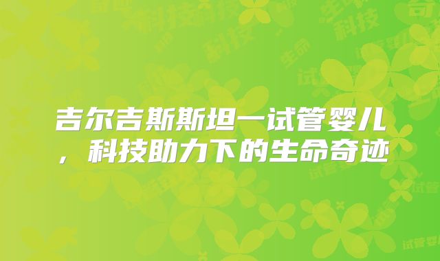 吉尔吉斯斯坦一试管婴儿，科技助力下的生命奇迹