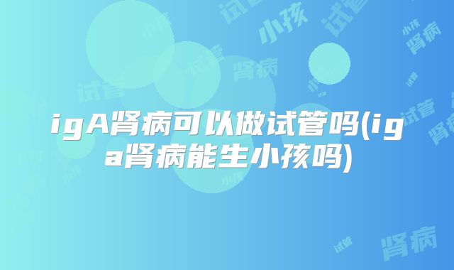 igA肾病可以做试管吗(iga肾病能生小孩吗)
