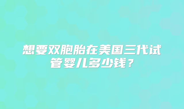 想要双胞胎在美国三代试管婴儿多少钱?