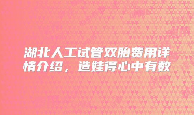 湖北人工试管双胎费用详情介绍,造娃得心中有数
