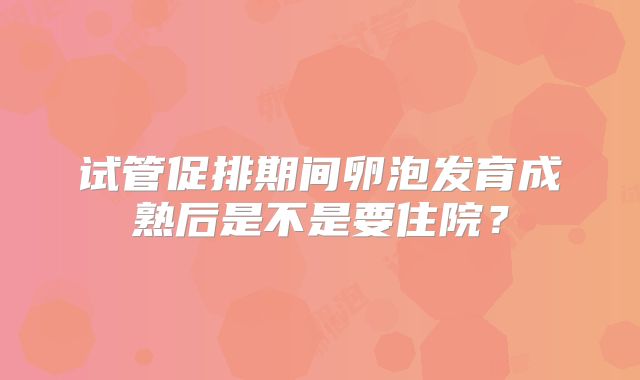 试管促排期间卵泡发育成熟后是不是要住院?