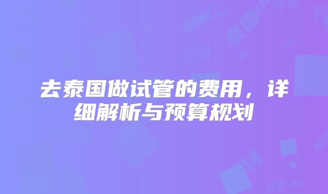 去泰国做试管的费用，详细解析与预算规划