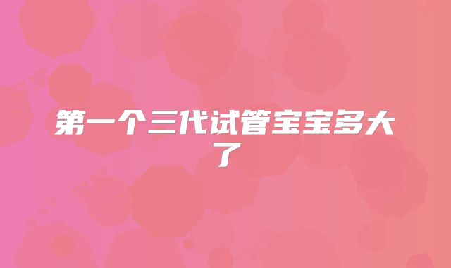 第一个三代试管宝宝多大了
