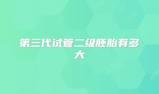 第三代试管二级胚胎有多大