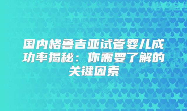 国内格鲁吉亚试管婴儿成功率揭秘：你需要了解的关键因素