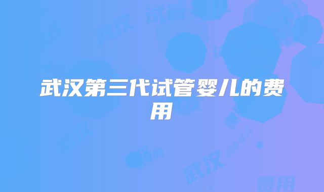 武汉第三代试管婴儿的费用