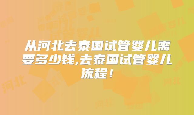 从河北去泰国试管婴儿需要多少钱,去泰国试管婴儿流程!