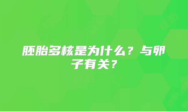 胚胎多核是为什么?与卵子有关?