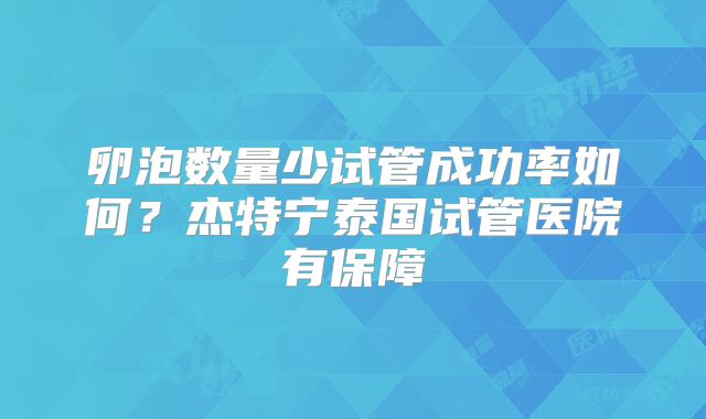 卵泡数量少试管成功率如何?杰特宁泰国试管医院有保障