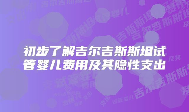 初步了解吉尔吉斯斯坦试管婴儿费用及其隐性支出