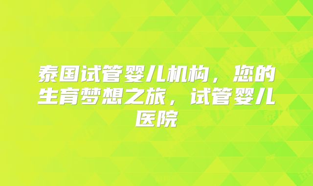 泰国试管婴儿机构，您的生育梦想之旅，试管婴儿医院