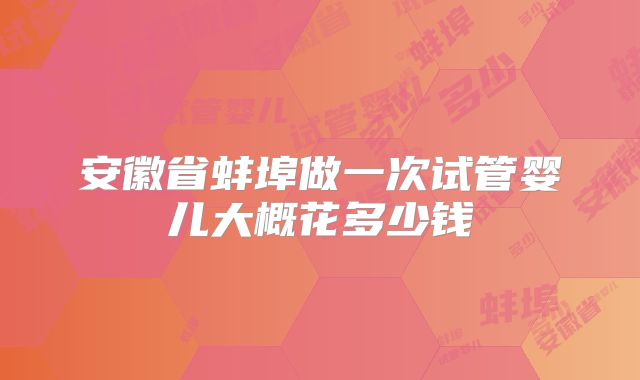 安徽省蚌埠做一次试管婴儿大概花多少钱