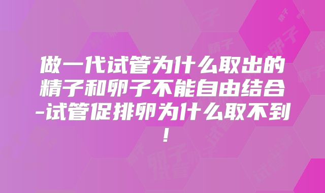 做一代试管为什么取出的精子和卵子不能自由结合-试管促排卵为什么取不到！