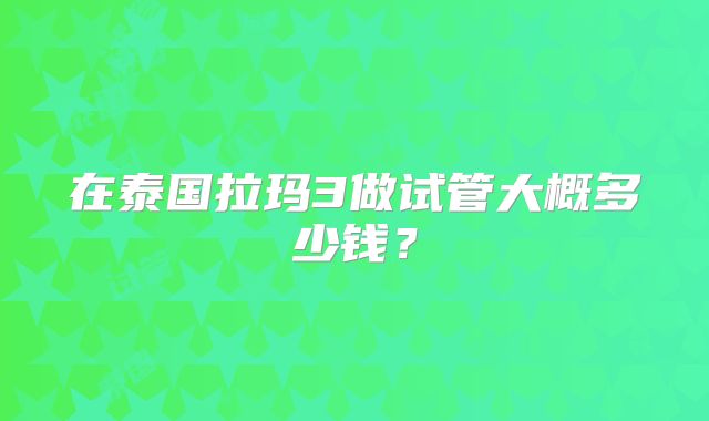 在泰国拉玛3做试管大概多少钱？