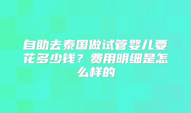 自助去泰国做试管婴儿要花多少钱？费用明细是怎么样的