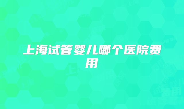 上海试管婴儿哪个医院费用