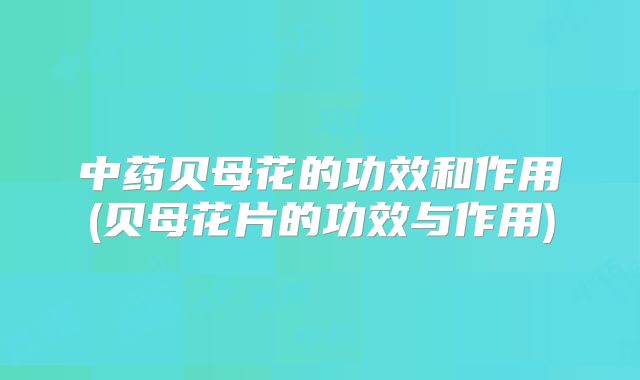中药贝母花的功效和作用(贝母花片的功效与作用)