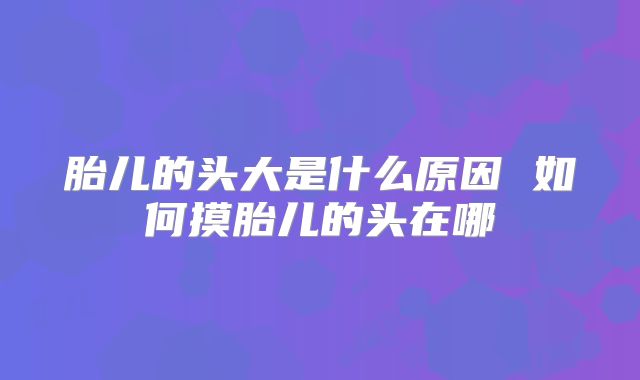胎儿的头大是什么原因 如何摸胎儿的头在哪