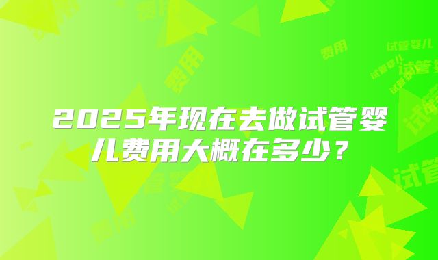 2025年现在去做试管婴儿费用大概在多少?