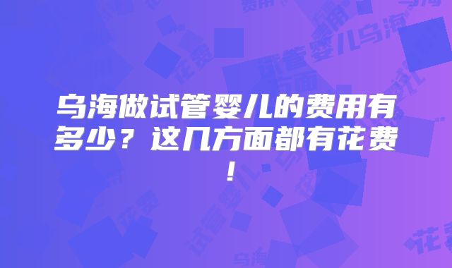 乌海做试管婴儿的费用有多少?这几方面都有花费!