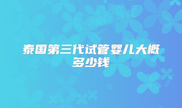泰国第三代试管婴儿大概多少钱