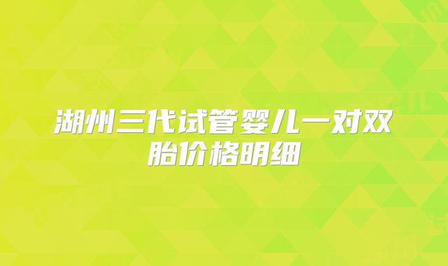 湖州三代试管婴儿一对双胎价格明细