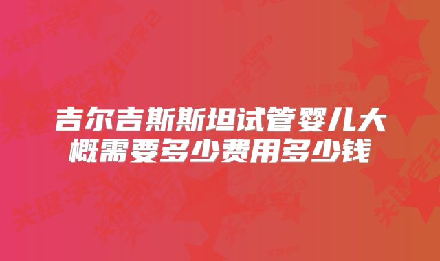 吉尔吉斯斯坦试管婴儿大概需要多少费用多少钱