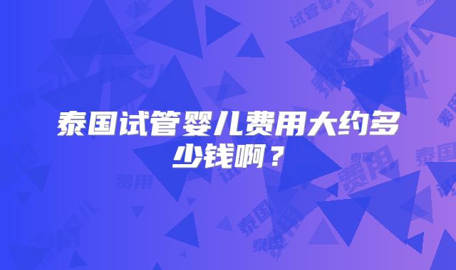 泰国试管婴儿费用大约多少钱啊？