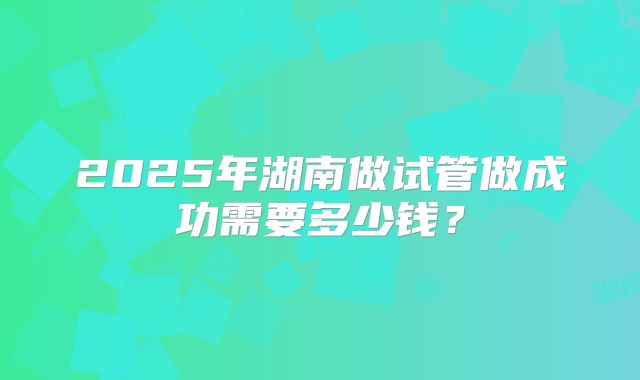 2025年湖南做试管做成功需要多少钱?