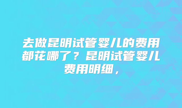 去做昆明试管婴儿的费用都花哪了?昆明试管婴儿费用明细,