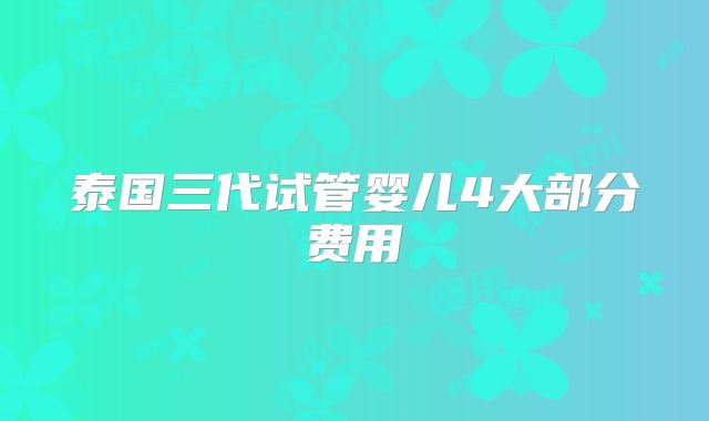 泰国三代试管婴儿4大部分费用