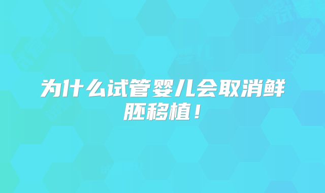 为什么试管婴儿会取消鲜胚移植!