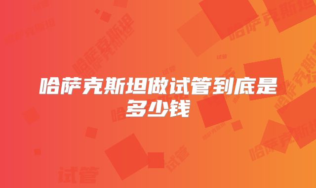 哈萨克斯坦做试管到底是多少钱
