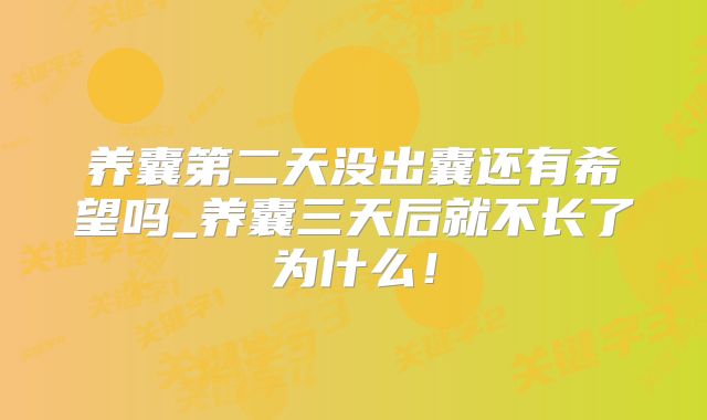 养囊第二天没出囊还有希望吗_养囊三天后就不长了为什么!