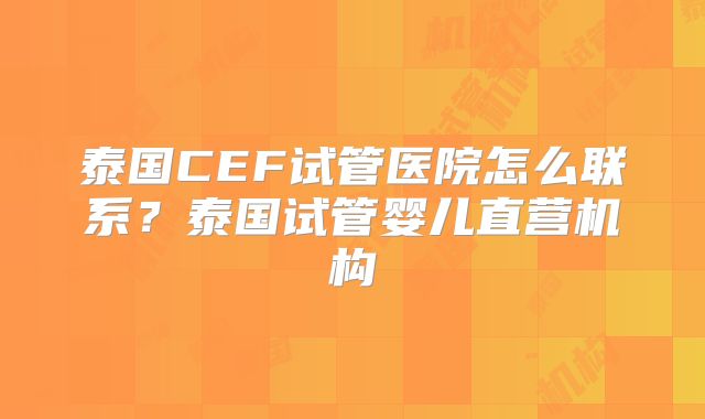 泰国CEF试管医院怎么联系?泰国试管婴儿直营机构