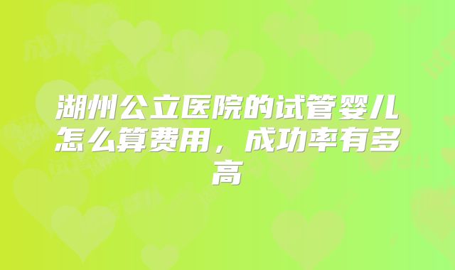 湖州公立医院的试管婴儿怎么算费用，成功率有多高