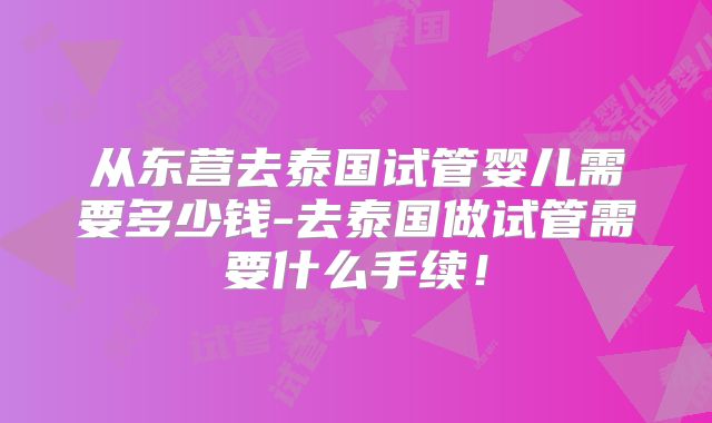 从东营去泰国试管婴儿需要多少钱-去泰国做试管需要什么手续！